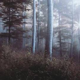 £ 23,500, Dodge, Townwagon, 1.2L, Diesel Hybrid, Manual