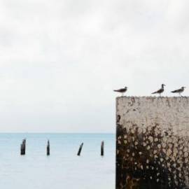 £ 46,600, De-Luxe, Ford, Crew Van, 1.4L, Bio Fuel, Manual