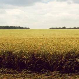 £ 46,600, De-Luxe, Ford, Crew Van, 1.4L, Bio Fuel, Manual