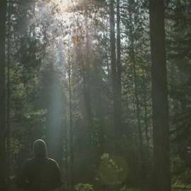 £ 26,300, Peugeot, J7, Minivan, 7.0L, LPG, Semi-Automatic