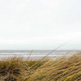 £ 26,100, JAC, Refinel6Max, Box / Luton Van, 1.6L, Diesel, Manual