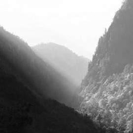 £ 16,500, RAF, Cargo Van, 3.5L, Bio Fuel, Semi-Automatic