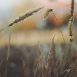 £ 13,900, Toyota, Corolla(E90), Cargo Van, 2.0L, LPG, Manual