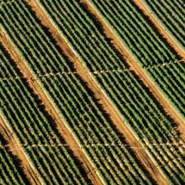 £ 31,100, De-Luxe, Ford, Microvan, 2.4L, LPG, Semi-Automatic