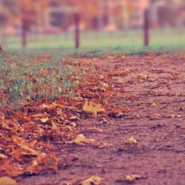 £ 11,800, Bedford, TJ, Box / Luton Van, 5.5L, Diesel Plug-in Hybrid, Automatic