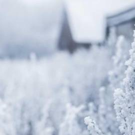 £ 14,400, Volkswagen, Transporter(T7), Microvan, 5.0L, LPG Hybrid, Automatic