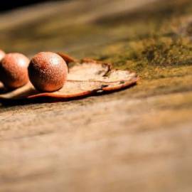 £ 14,400, Volkswagen, Transporter(T7), Microvan, 5.0L, LPG Hybrid, Automatic