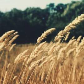 £ 34,400, Renault, Kangoo, Conversion Van, 2.8L, Diesel Hybrid, Automatic