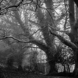 £ 47,200, Citroën, Spacetourer, Minivan, 2.4L, Diesel Plug-in Hybrid, Automatic