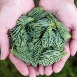 £ 47,200, Citroën, Spacetourer, Minivan, 2.4L, Diesel Plug-in Hybrid, Automatic