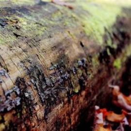 £ 24,700, Trabant, 601, Microvan, 1.2L, Petrol Plug-in Hybrid, Manual