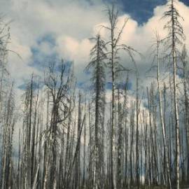 £ 14,500, Suzuki, APV, Panel Van, 5.5L, Petrol, Semi-Automatic