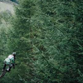 £ 38,900, Toyota, Carina, Box / Luton Van, 4.0L, Diesel Hybrid, Semi-Automatic