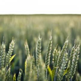 £ 20,900, Farizon, E5L, Camper Van, 1.4L, Petrol Hybrid, Automatic