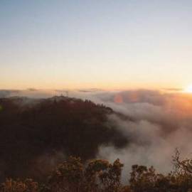 £ 15,800, Peugeot, 301, Passenger Van, 2.2L, Petrol Hybrid, Automatic