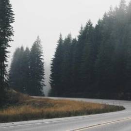 £ 39,800, Trabant, 601, Minivan, 2.4L, Diesel Hybrid, Automatic