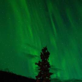 £ 12,700, Austin, 10, Camper Van, 5.5L, Bio Fuel, Automatic