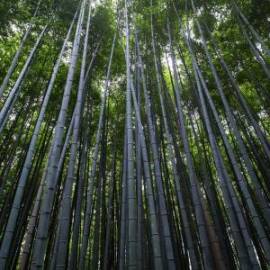 £ 3,300, Alfa-Romeo, AR8, Cargo Van, 1.4L, LPG, Automatic