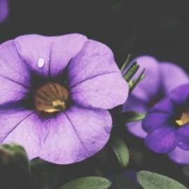 £ 20,400, Morris, Commercialjtype, Minivan, 1.4L, Petrol, Manual