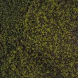 £ 44,200, RAF, 2203, Minivan, 1.4L, LPG, Semi-Automatic