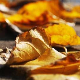 £ 36,600, Mini, Clubman, Crew Van, 2.2L, Petrol Plug-in Hybrid, Automatic