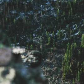 £ 3,800, Fiat, 500, Crew Van, 4.5L, Petrol Plug-in Hybrid, Automatic