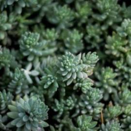 £ 39,500, Volkswagen, Transporter, Microvan, 5.0L, Bio Fuel, Semi-Automatic