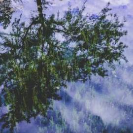 £ 39,500, Volkswagen, Transporter, Microvan, 5.0L, Bio Fuel, Semi-Automatic