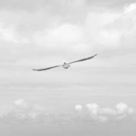 £ 38,700, Volkswagen, Transporter, Minivan, 2.0L, Bio Fuel, Manual