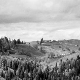 £ 14,500, Morris, FV, Camper Van, 2.6L, Bio Fuel, Automatic