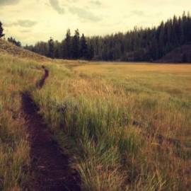 £ 14,500, Morris, FV, Camper Van, 2.6L, Bio Fuel, Automatic