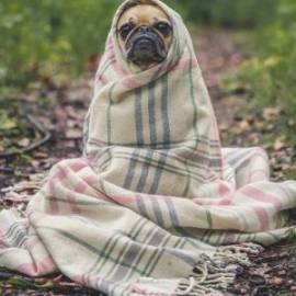 £ 16,000, Fiat, Duna, Passenger Van, 7.0L, Diesel, Semi-Automatic