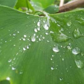 £ 32,400, Bedford, TA, Box / Luton Van, 1.4L, Bio Fuel, Automatic