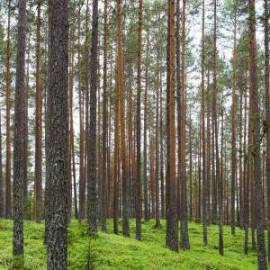 £ 9,200, Citroën, C25, Conversion Van, 3.5L, Diesel Plug-in Hybrid, Automatic