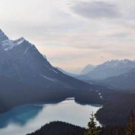 £ 500, De-Luxe, Ford, 2.4L, Petrol, Manual