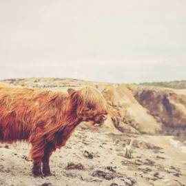 £ 47,000, Wuling, S1, Conversion Van, 1.6L, Diesel Plug-in Hybrid, Semi-Automatic