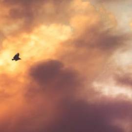 £ 40,200, Fiat, 242, Microvan, 2.6L, Diesel, Semi-Automatic