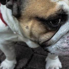 £ 40,200, Fiat, 242, Microvan, 2.6L, Diesel, Semi-Automatic