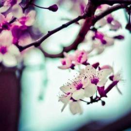 £ 29,600, De-Luxe, Ford, 2.2L, Diesel Hybrid, Semi-Automatic