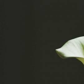 £ 11,600, Daihatsu, Newline, Passenger Van, 1.9L, Diesel Plug-in Hybrid, Semi-Automatic