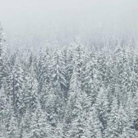 £ 24,500, Peugeot, J9, Minivan, 1.0L, LPG Hybrid, Automatic