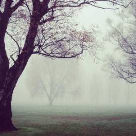 £ 15,000, Citroën, C25, Camper Van, 7.0L, Diesel, Automatic