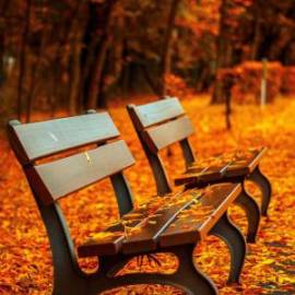 £ 21,100, Dodge, Townwagon, Panel Van, 4.0L, Diesel Plug-in Hybrid, Semi-Automatic