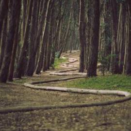 £ 24,000, Peugeot, D4, 1.0L, Diesel Hybrid, Semi-Automatic