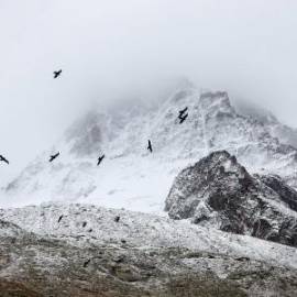 £ 37,600, Dodge, Townwagon, 7.0L, Petrol, Automatic