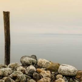 £ 41,700, Tata, Winger, Cargo Van, 5.5L, LPG Hybrid, Manual