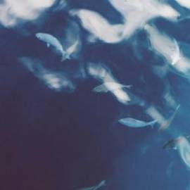 £ 44,600, Mercedes-Benz, Vito, 2.2L, Bio Fuel, Manual