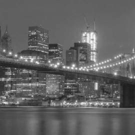 £ 41,700, Fiat, Professional, Panel Van, 1.6L, Diesel, Manual