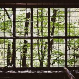 £ 41,700, Fiat, Professional, Panel Van, 1.6L, Diesel, Manual