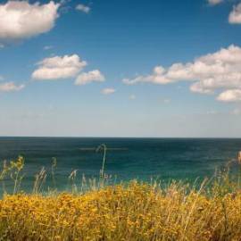 £ 500, Toyota, Regius, Passenger Van, 3.5L, Petrol Hybrid, Automatic